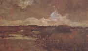 Vincent Van Gogh Marshy Landscape (nn04) oil painting